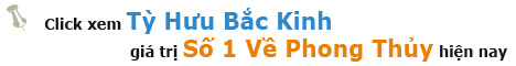 Chơi cá cảnh, cách chọn cá và đặt hồ cá theo Phong Thủy ads backinh1 Thú chơi cá cảnh theo phong thủy học